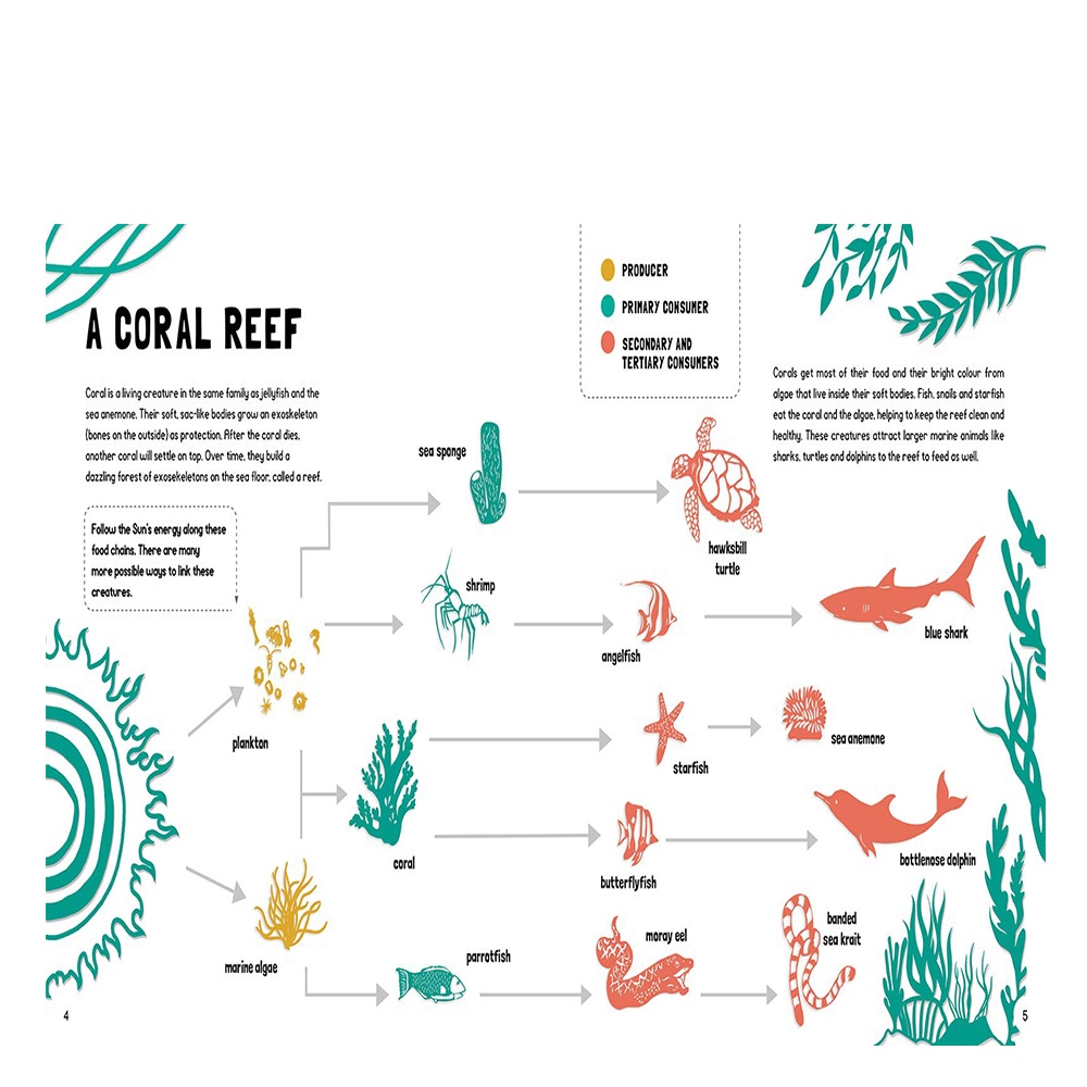 Food Chains: Who Eats What