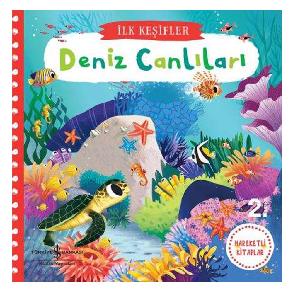 HAREKETLİ DENİZ CANLILARI Çocuk Kitapları Uzmanı - Children's Books Expert