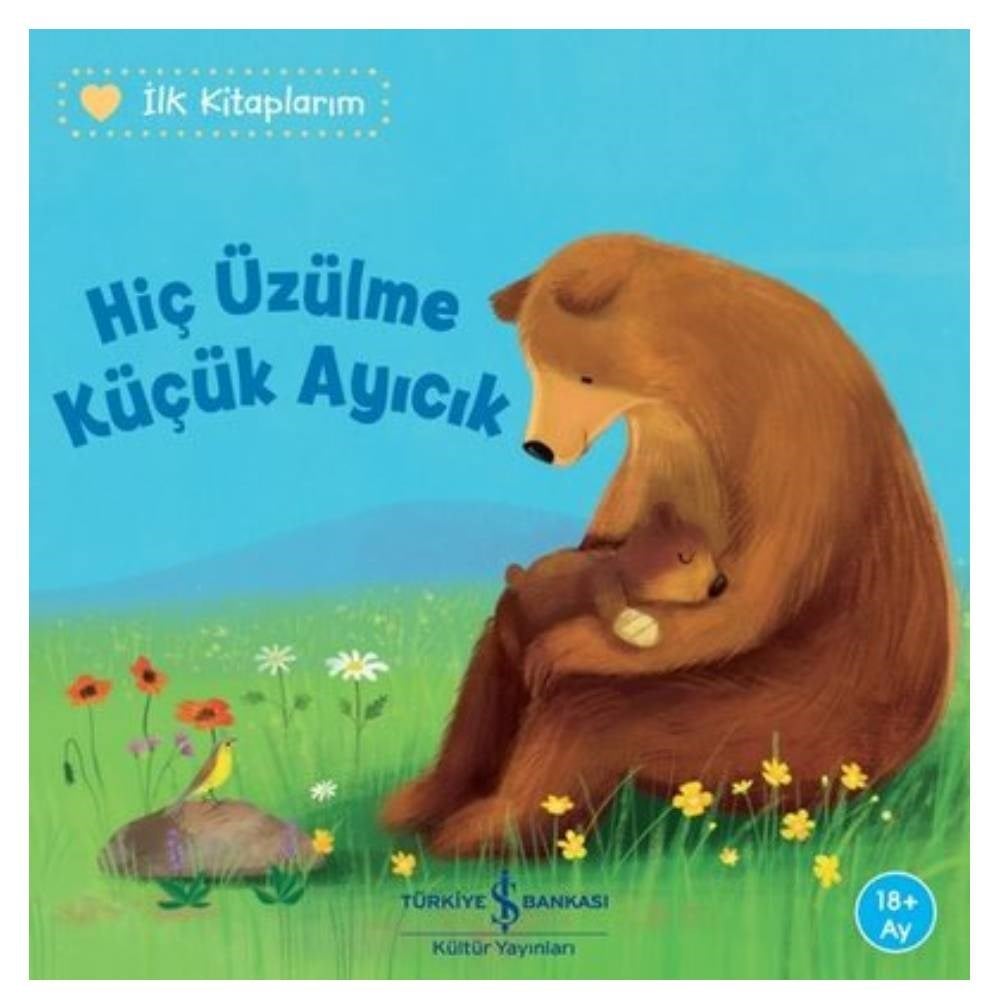 HİÇ ÜZÜLME KÜÇÜK AYICIK Çocuk Kitapları Uzmanı - Children's Books Expert