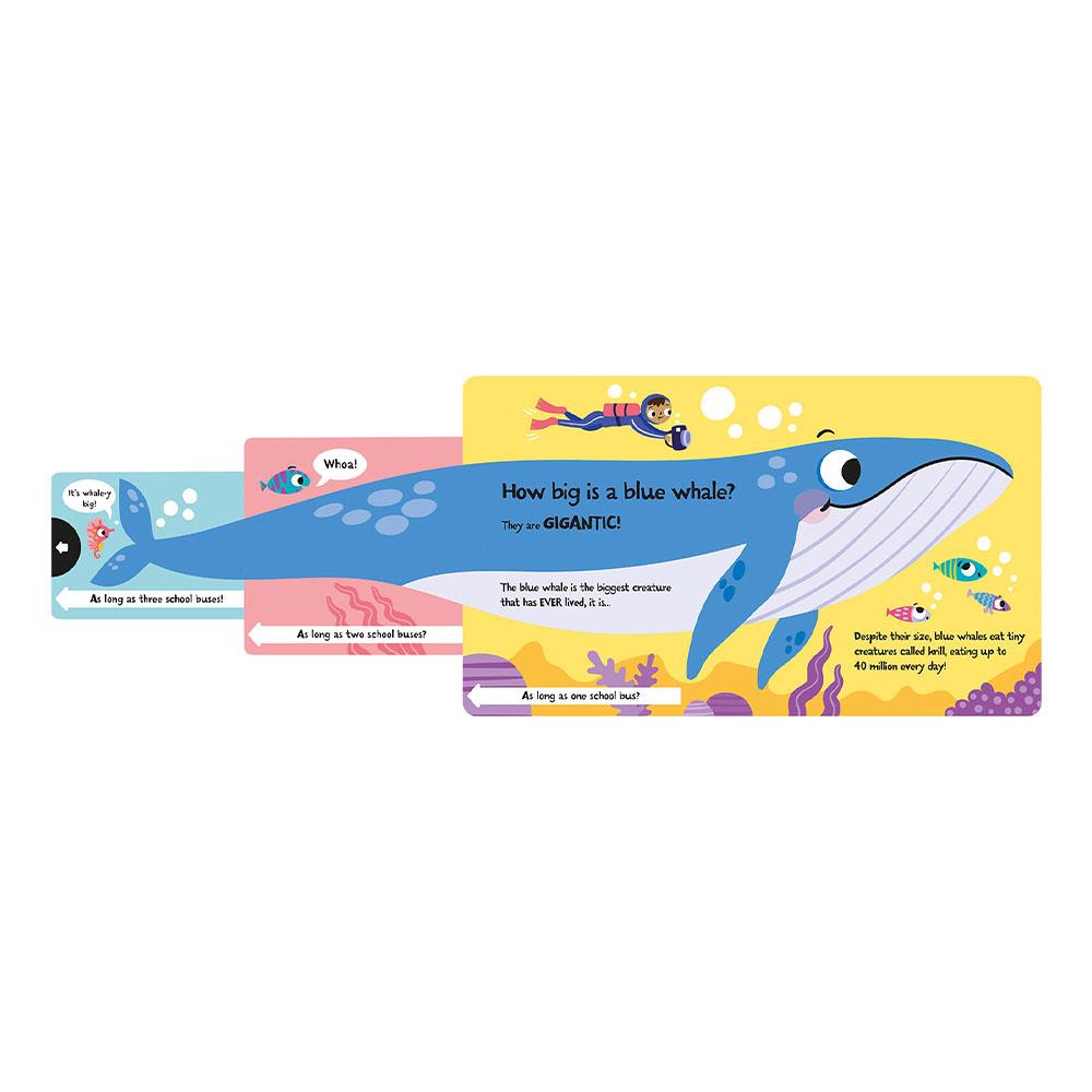 How Wide Is A Whale - Board Book
