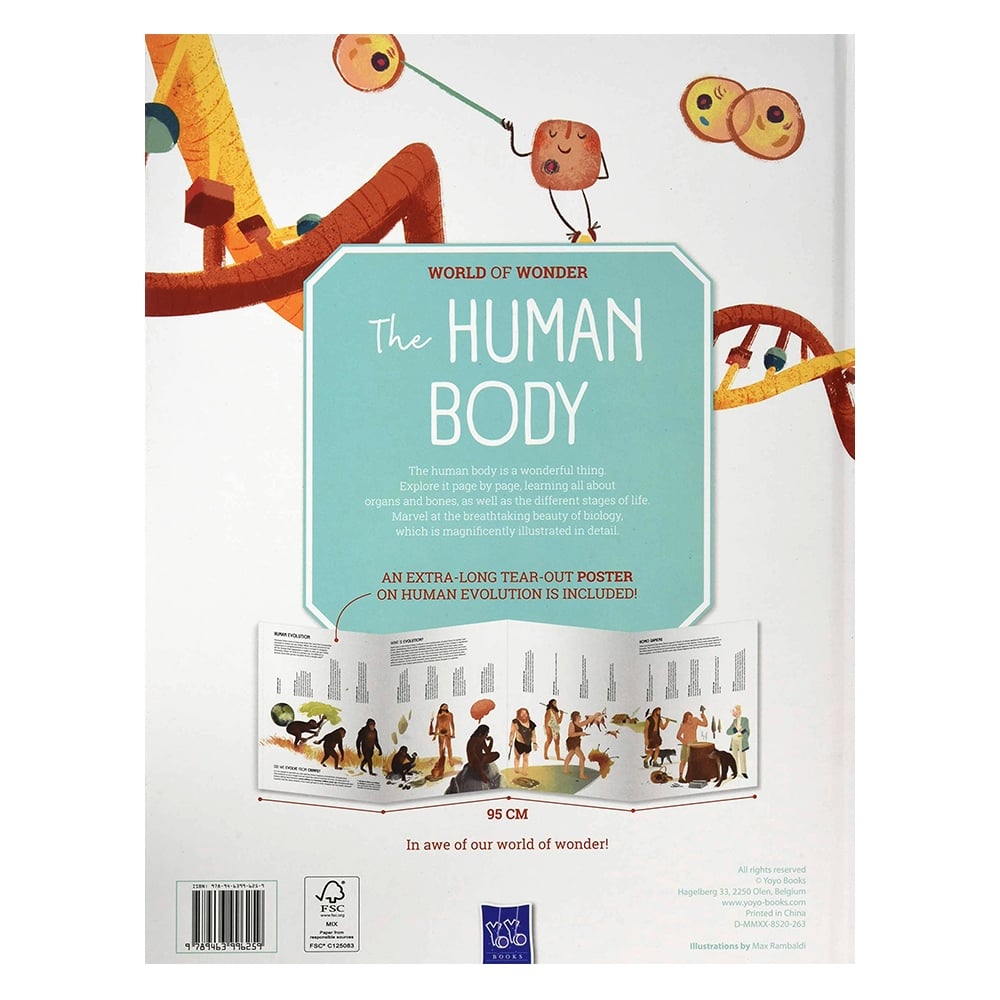 Human Body