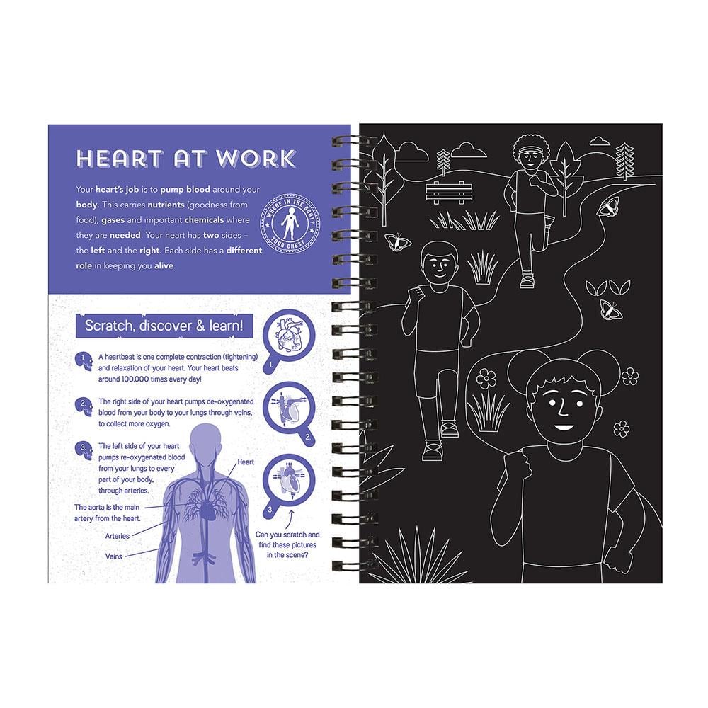 Human Body - Scratch, Discover And Learn