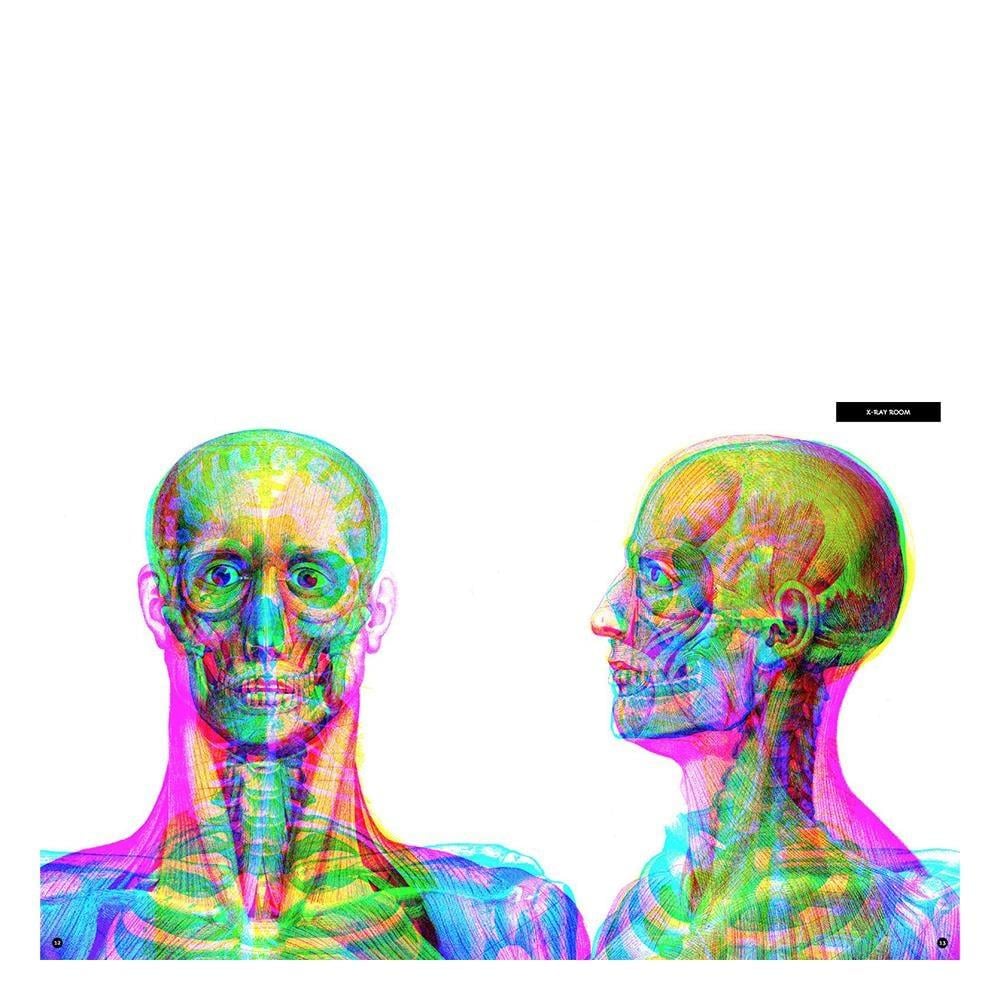 Illumanatomy