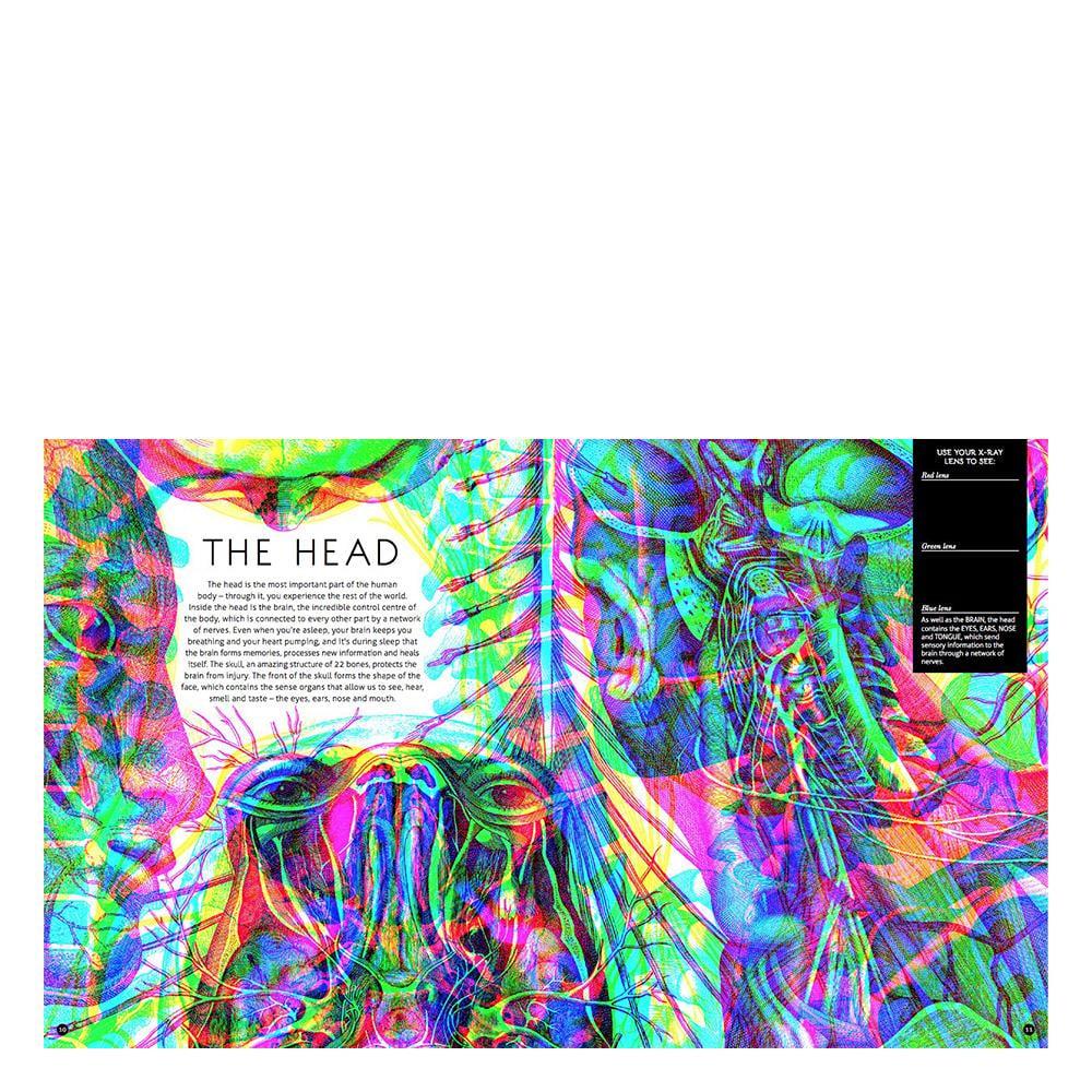Illumanatomy