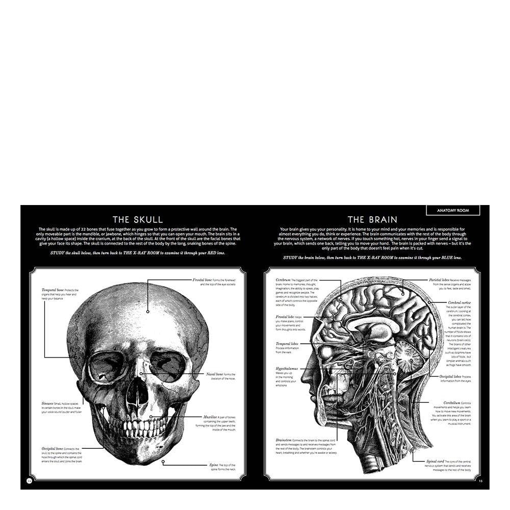Illumanatomy