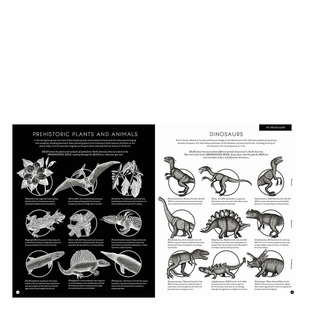 Illumisaurus