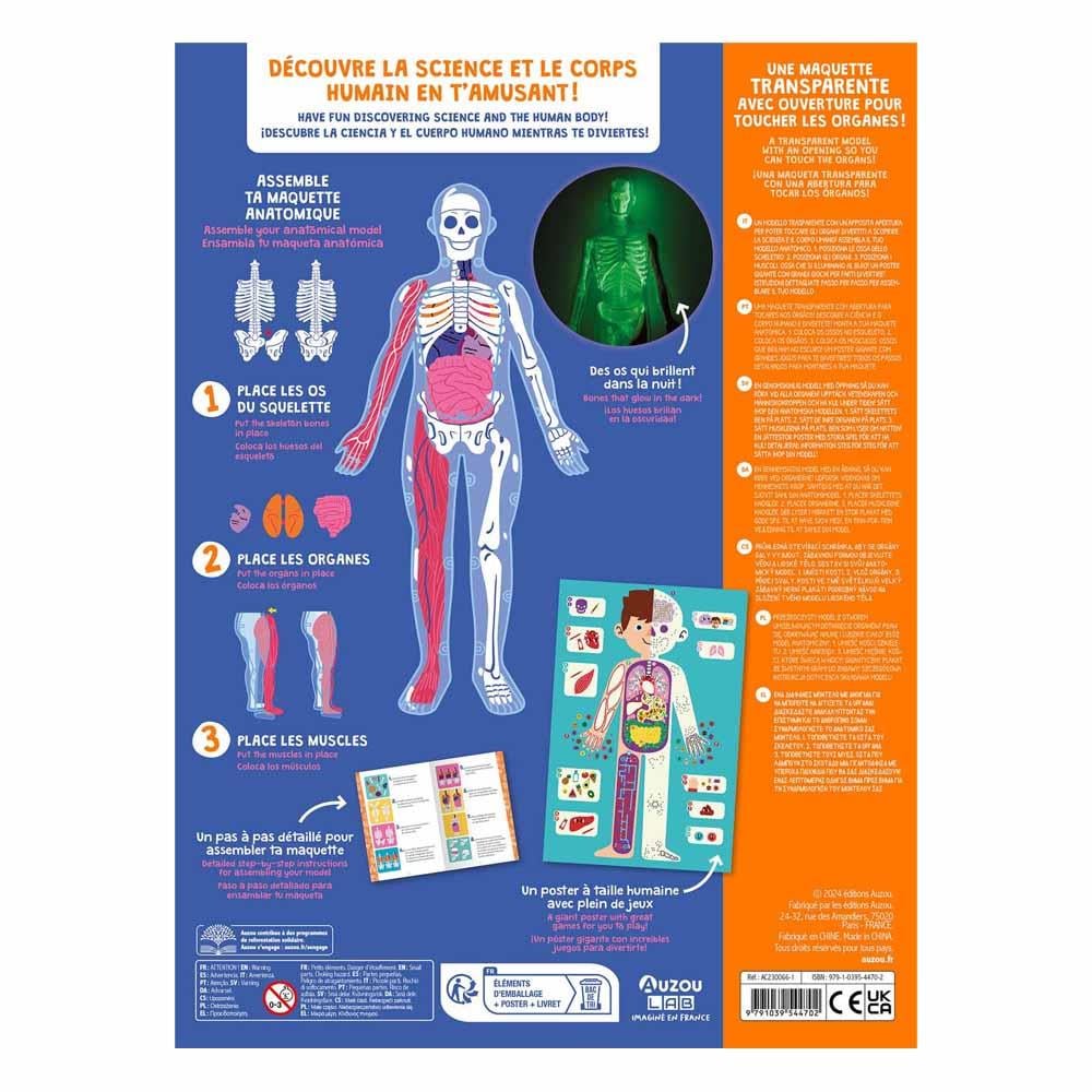 İnsan Vücudunu Keşfediyorum Poster -Model ve Kitap