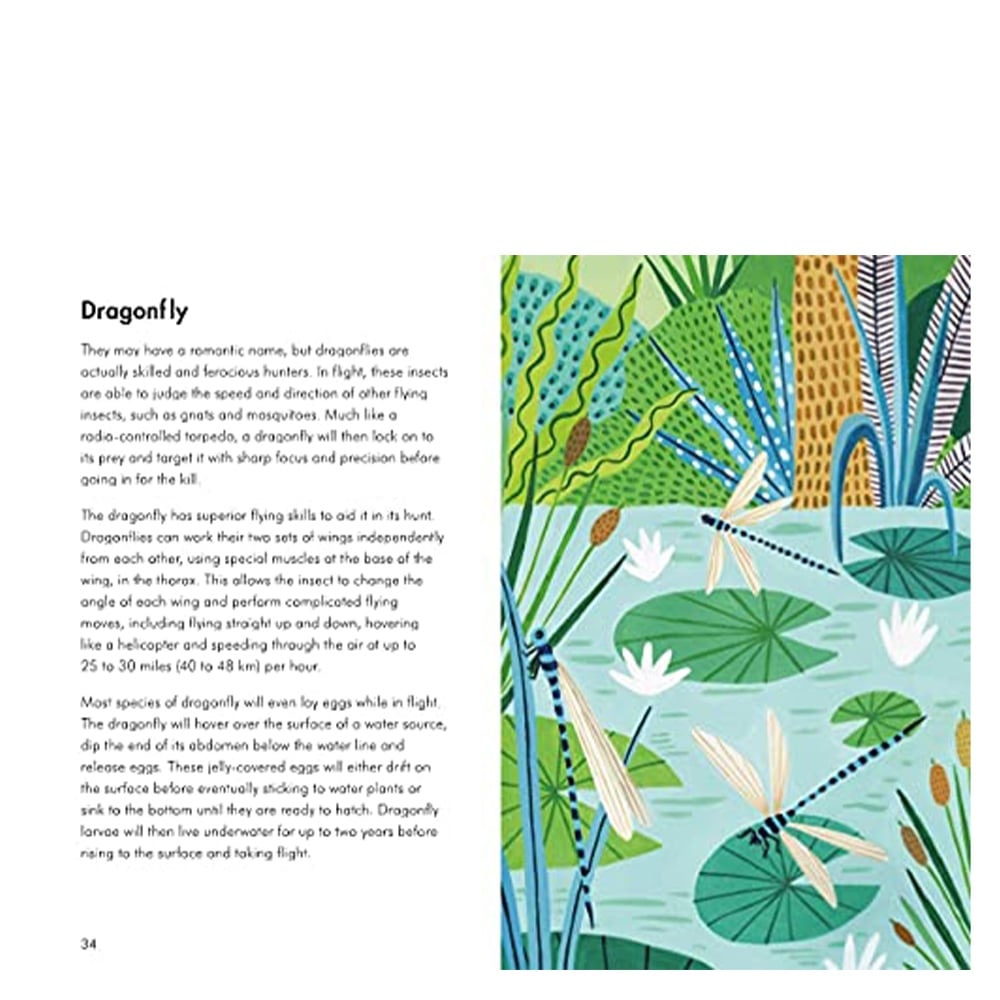 Insects And Minibeasts - A Ladybird Book
