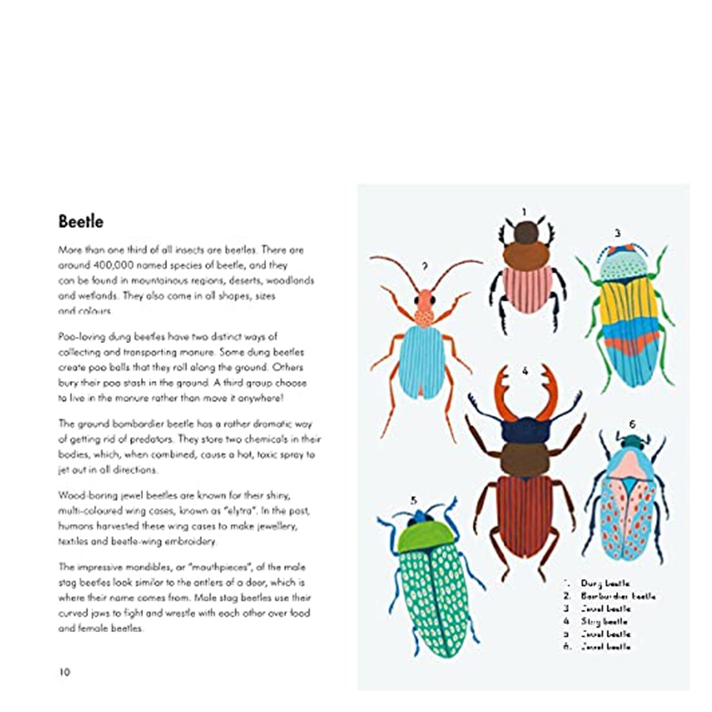 Insects And Minibeasts - A Ladybird Book