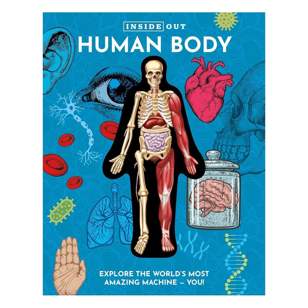 Inside Out Human Body