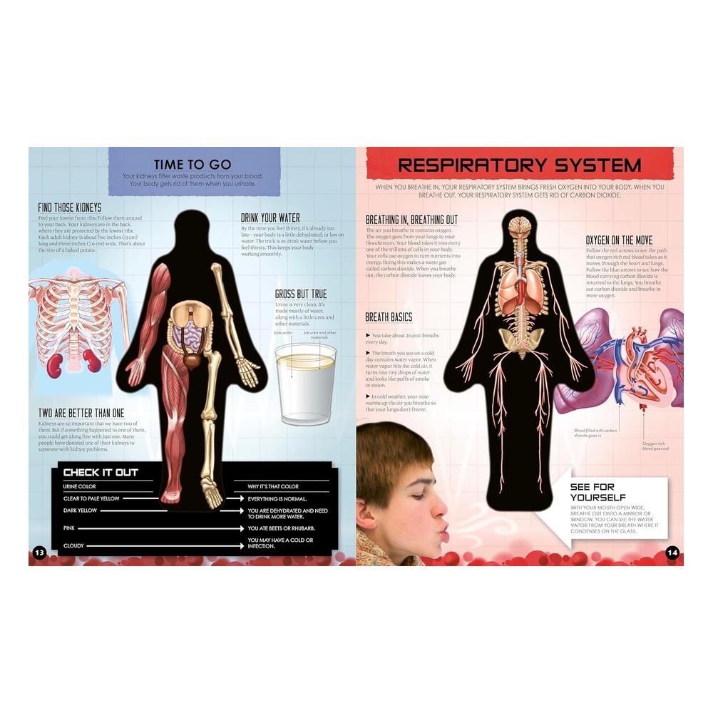 Inside Out Human Body