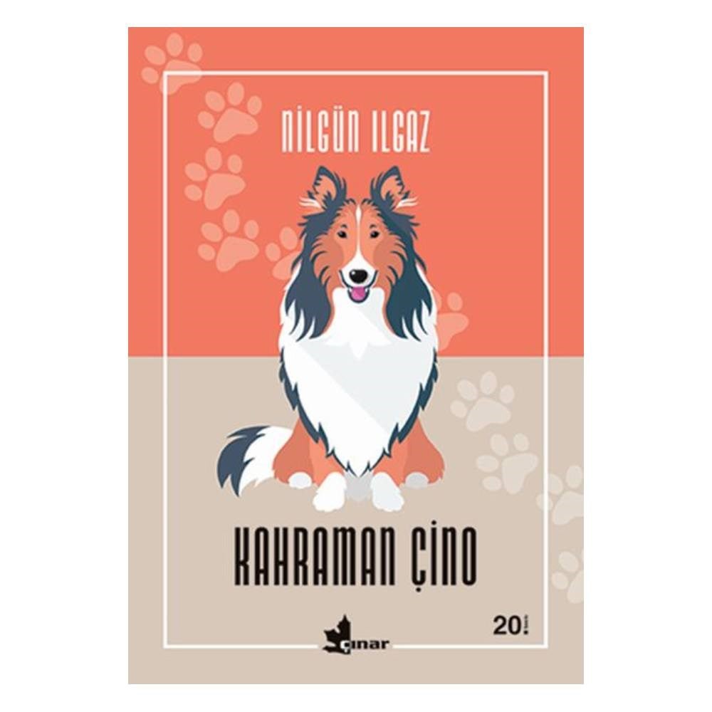 KAHRAMAN ÇİNO Çocuk Kitapları Uzmanı - Children's Books Expert