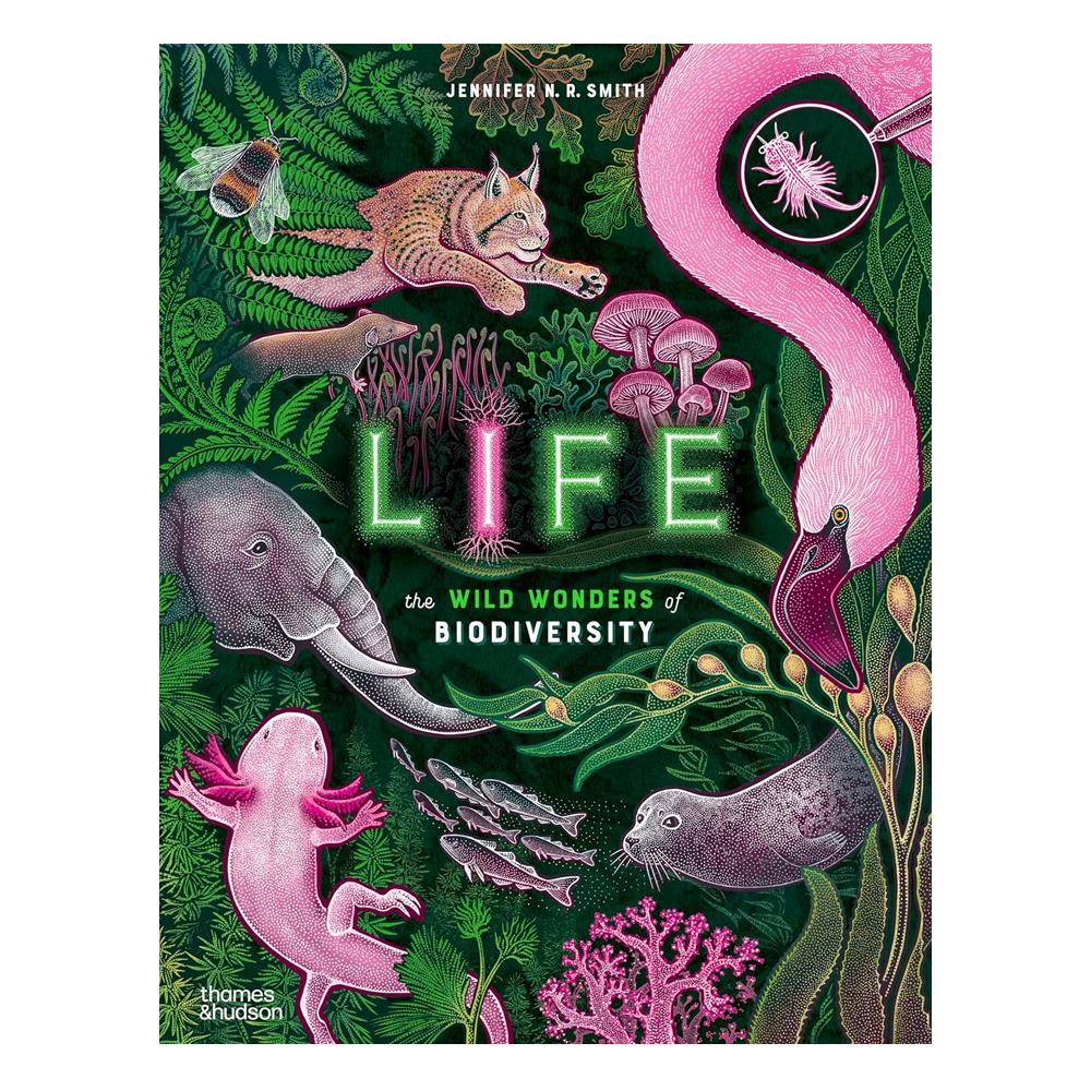 Life Çocuk Kitapları Uzmanı - Children's Books Expert