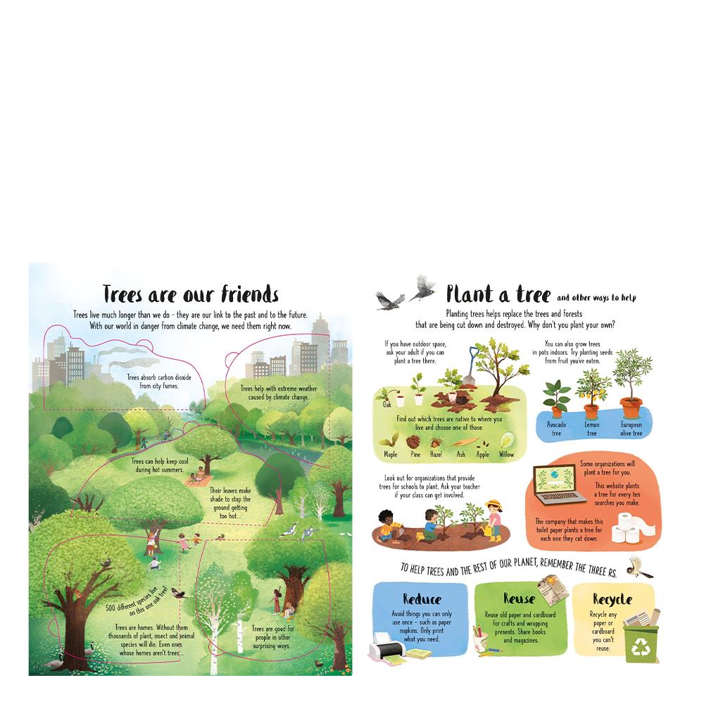 Lift The Flap Trees