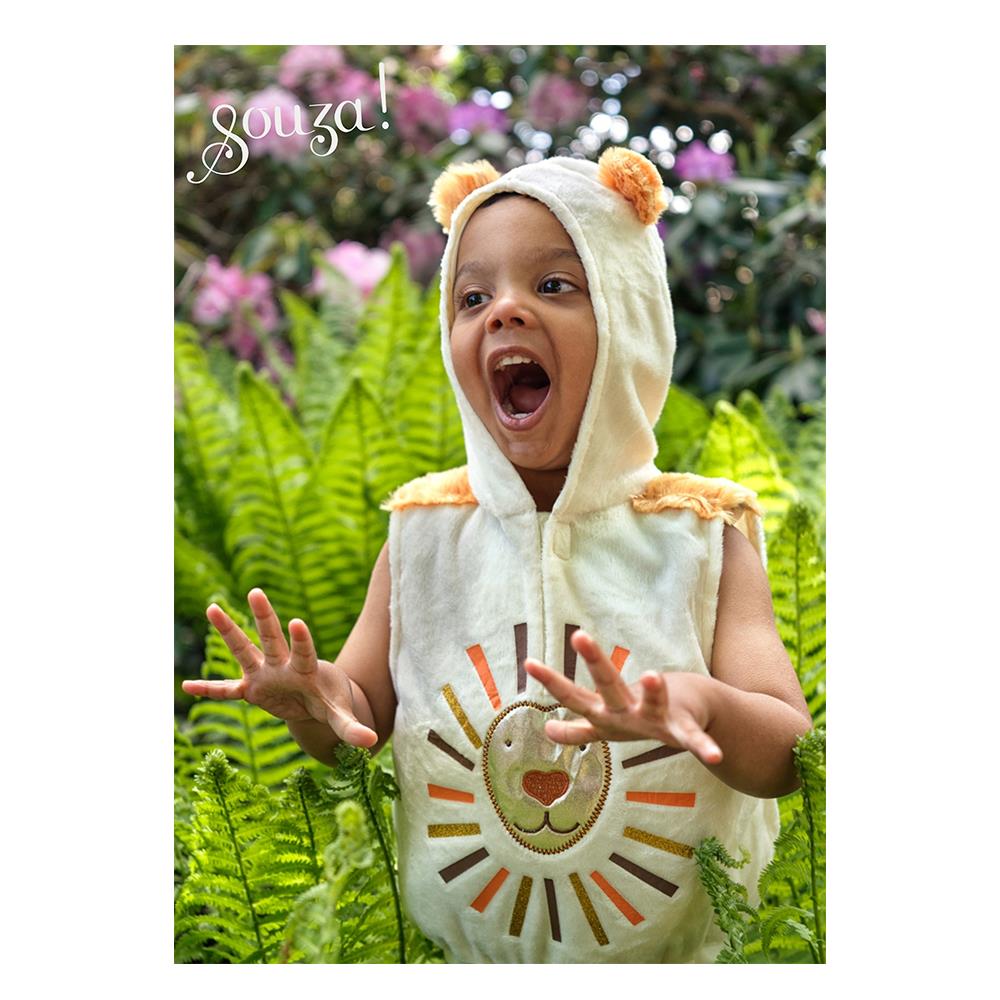 Lio Aslan Kostümü - 2 Yaş