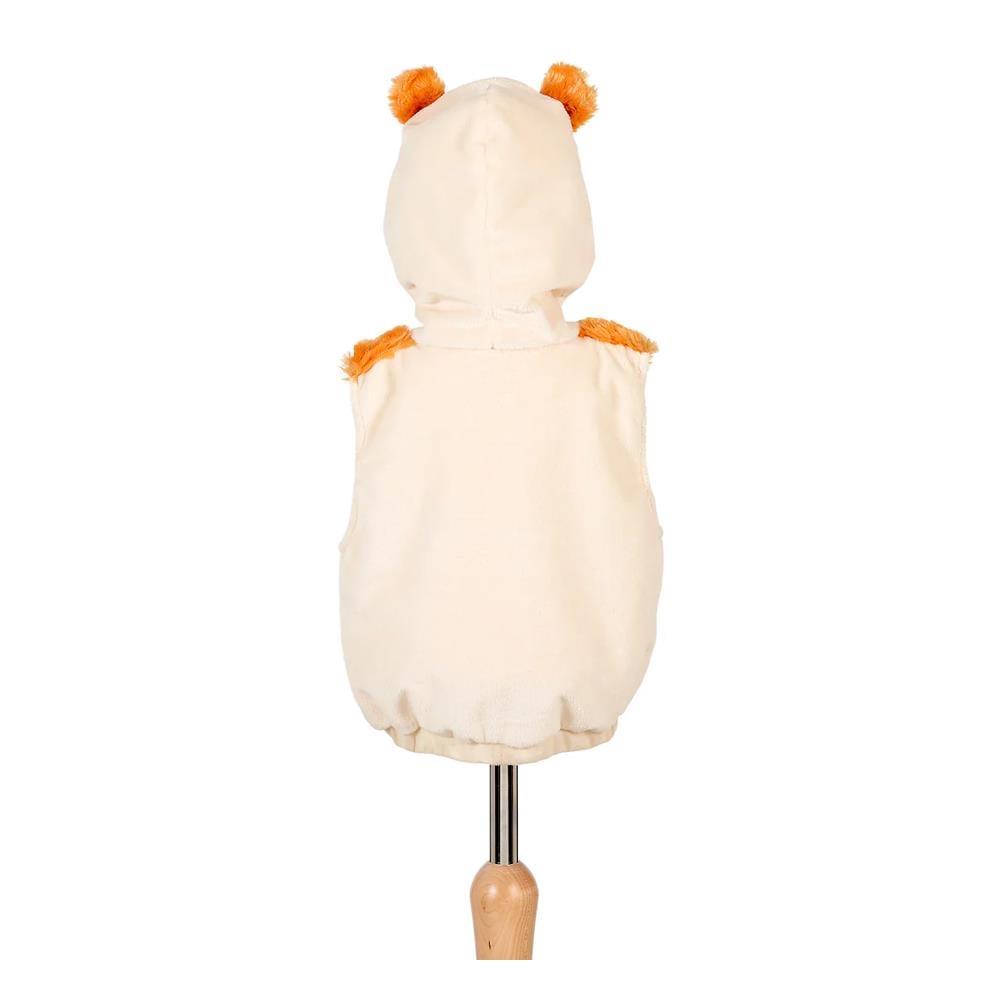 Lio Aslan Kostümü - 2 Yaş