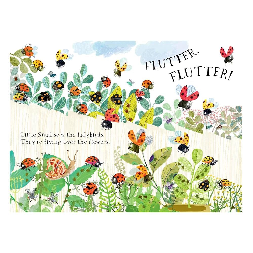 Little Snail s Book Of Bugs