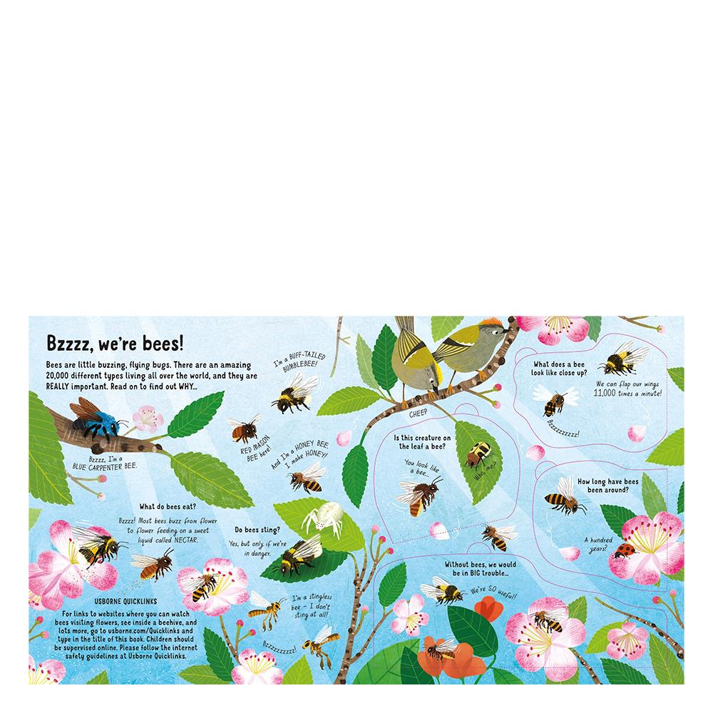 Look Inside The World Of Bees