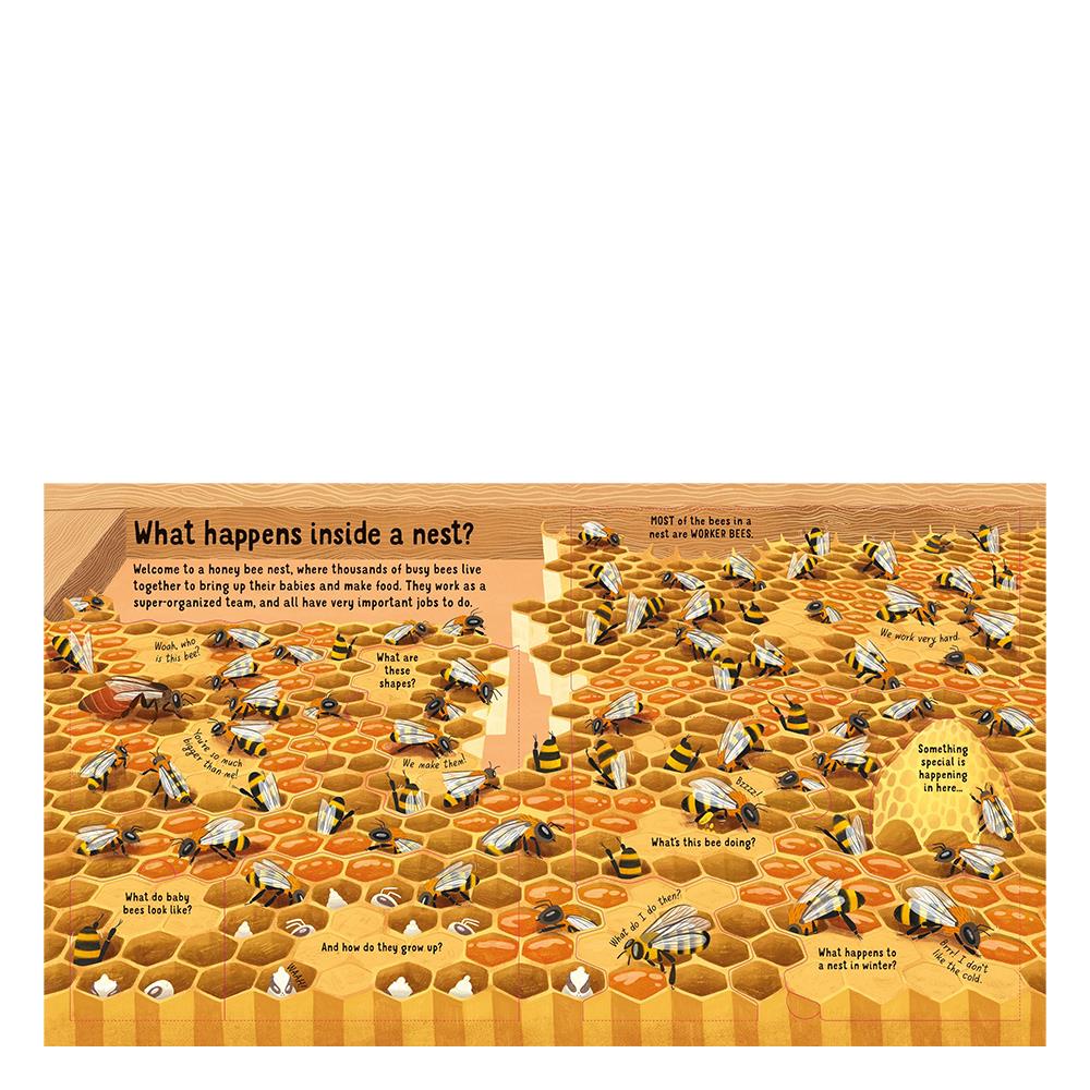 Look Inside The World Of Bees
