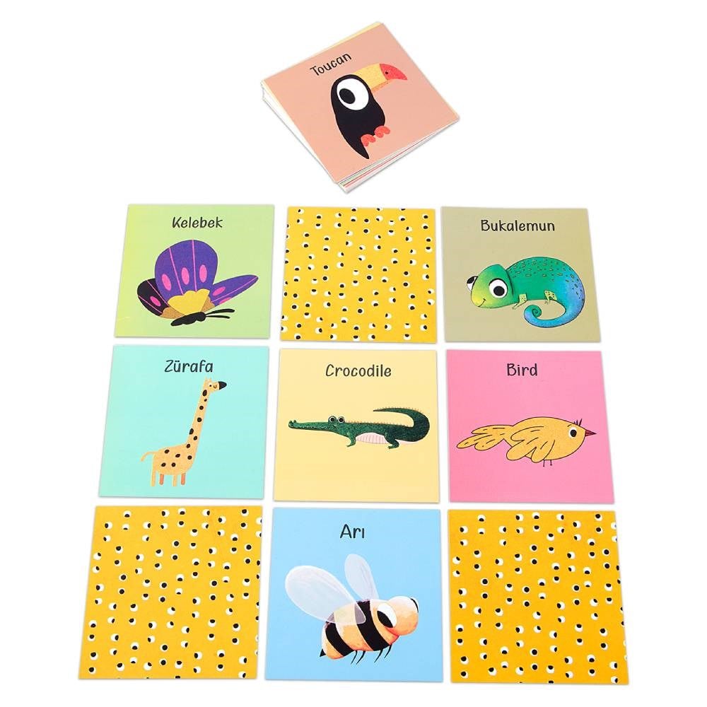 Memory Kart (Hafıza Oyunu)