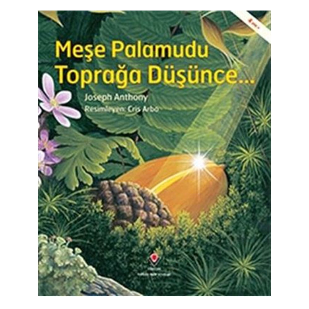 MEŞE PALAMUDU TOPRAĞA DÜŞÜNCE... Çocuk Kitapları Uzmanı - Children's Books Expert