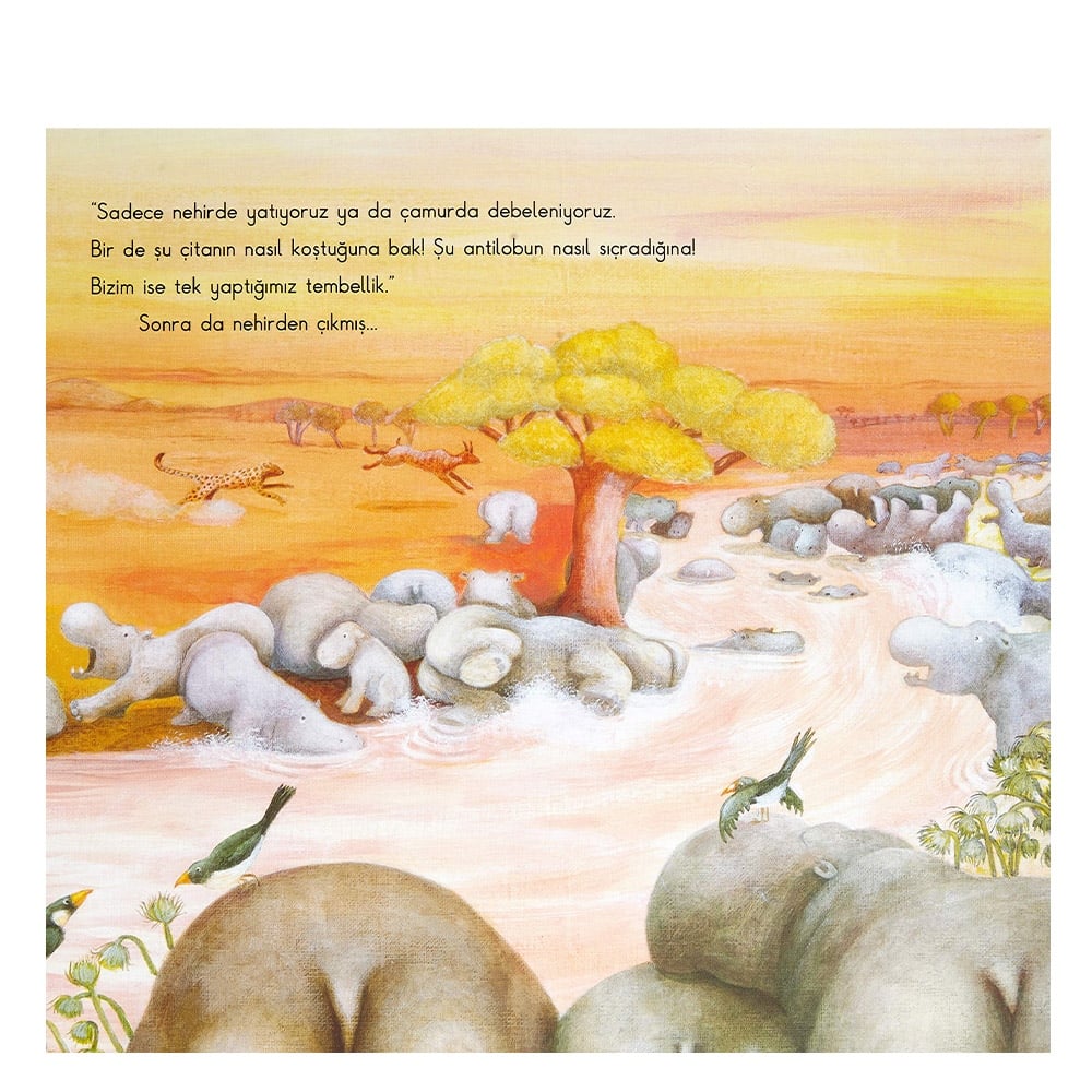 Mutlu Su Aygırı