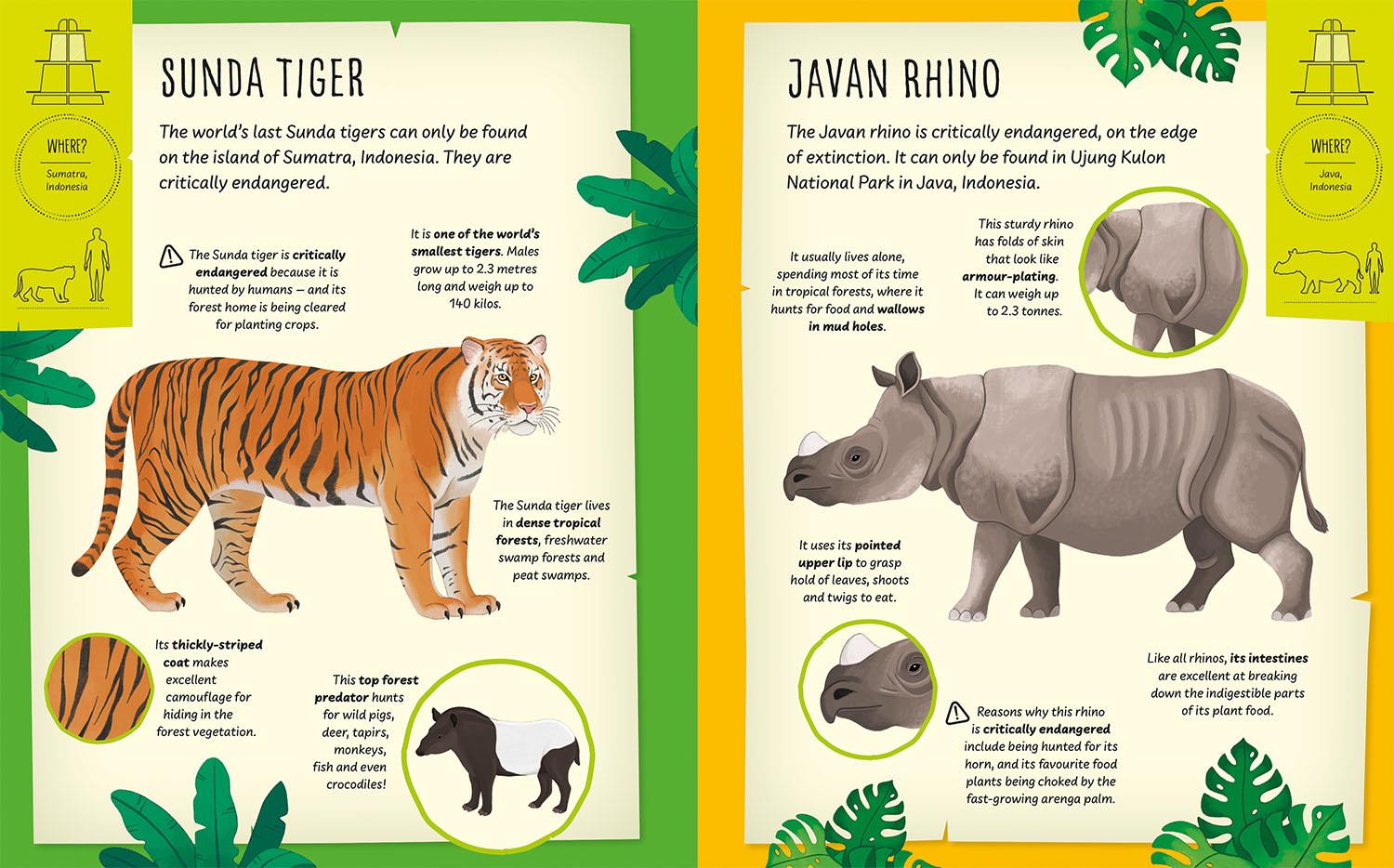 My Incredible Animal S.O.S Expedition