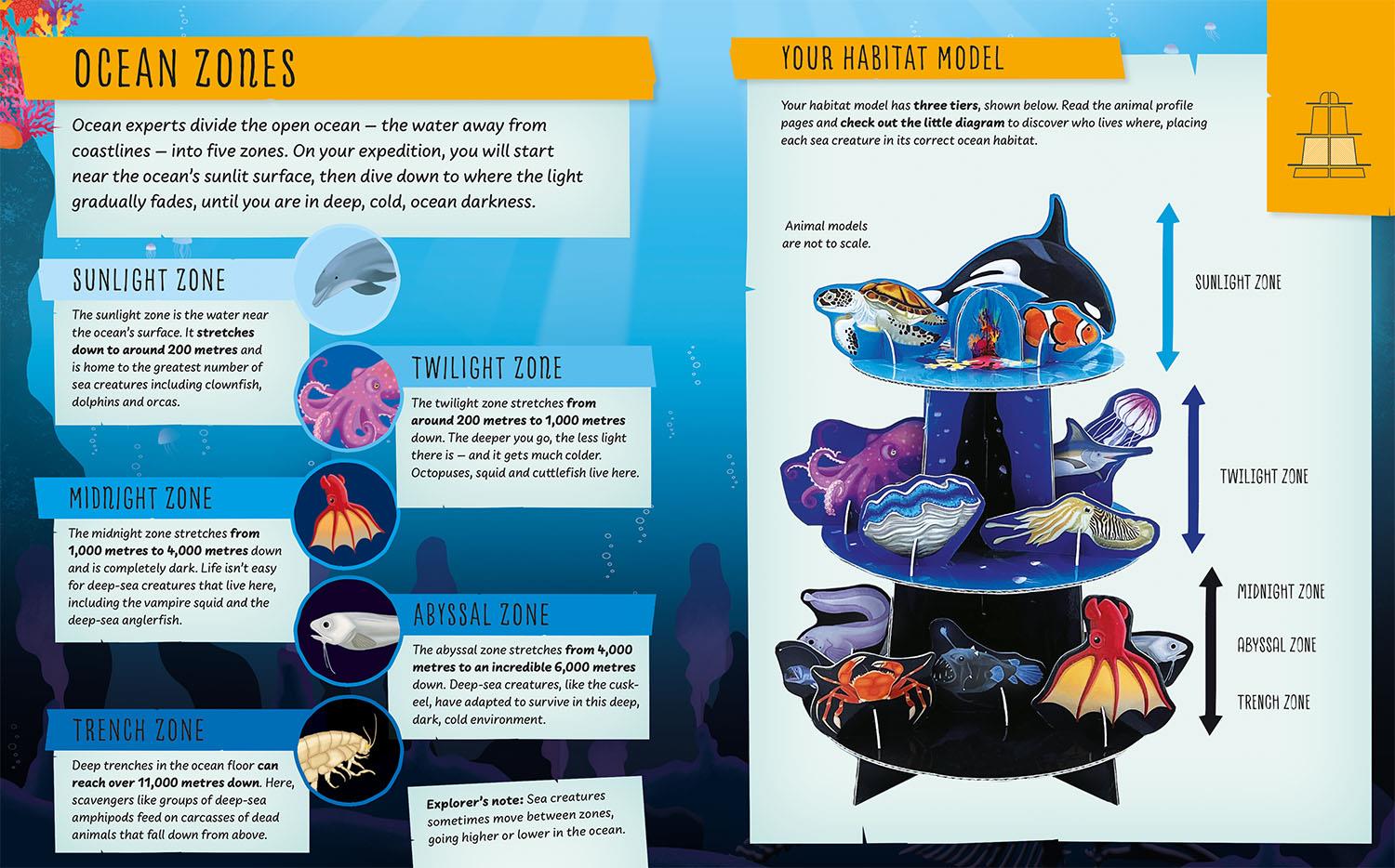 My Incredible Ocean Expedition