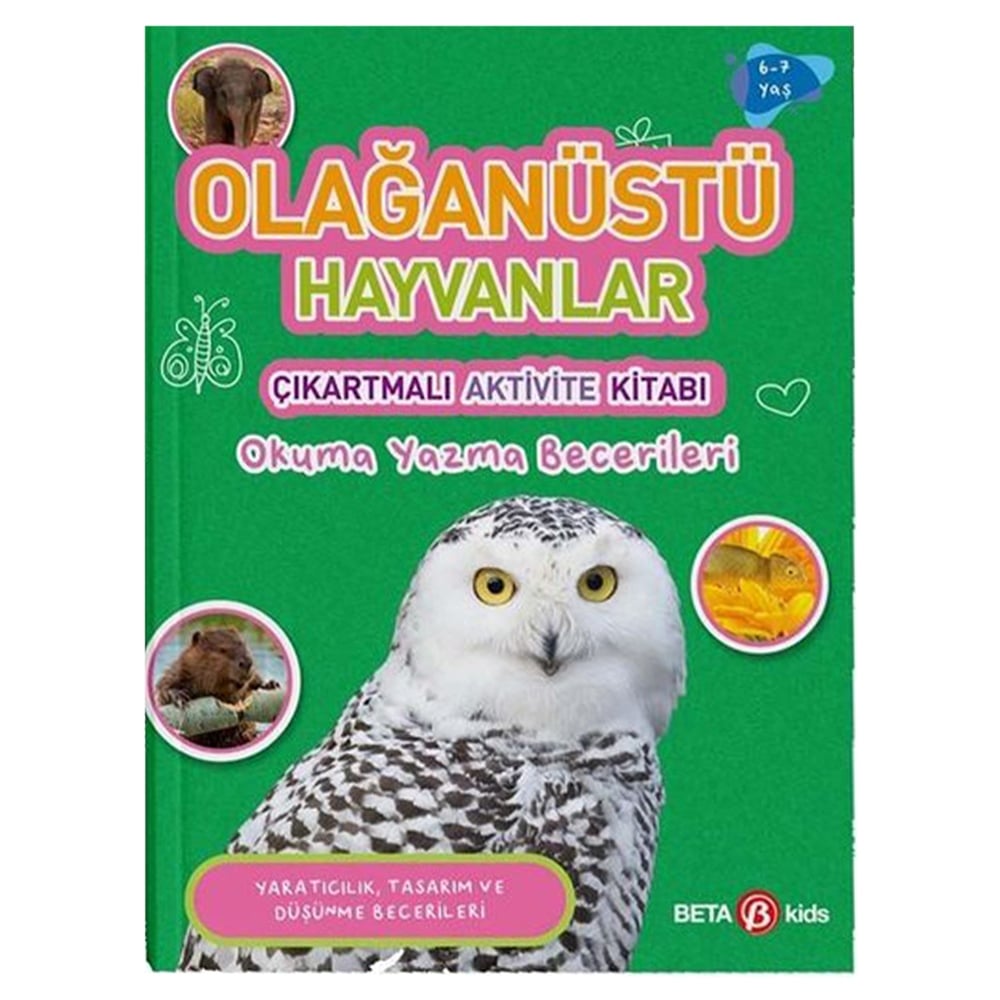 OKUMA YAZMA BECERİLERİ Çocuk Kitapları Uzmanı - Children's Books Expert