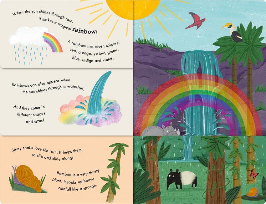 Rain and Shine - A Flip-Flap Book of Weather