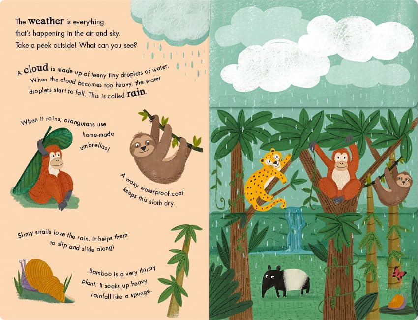 Rain and Shine - A Flip-Flap Book of Weather