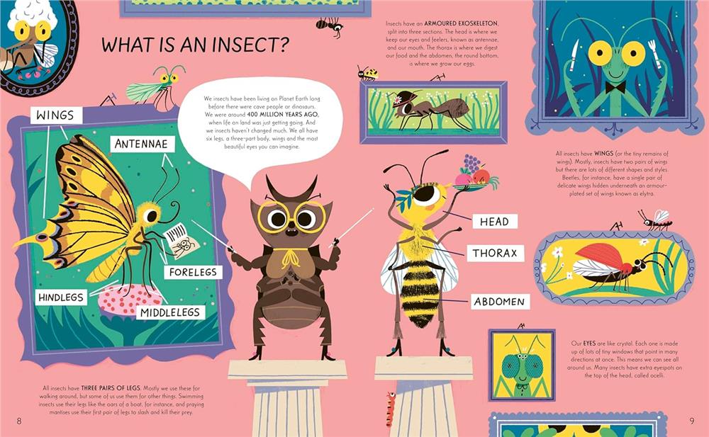 Respect the Insect - Hardback
