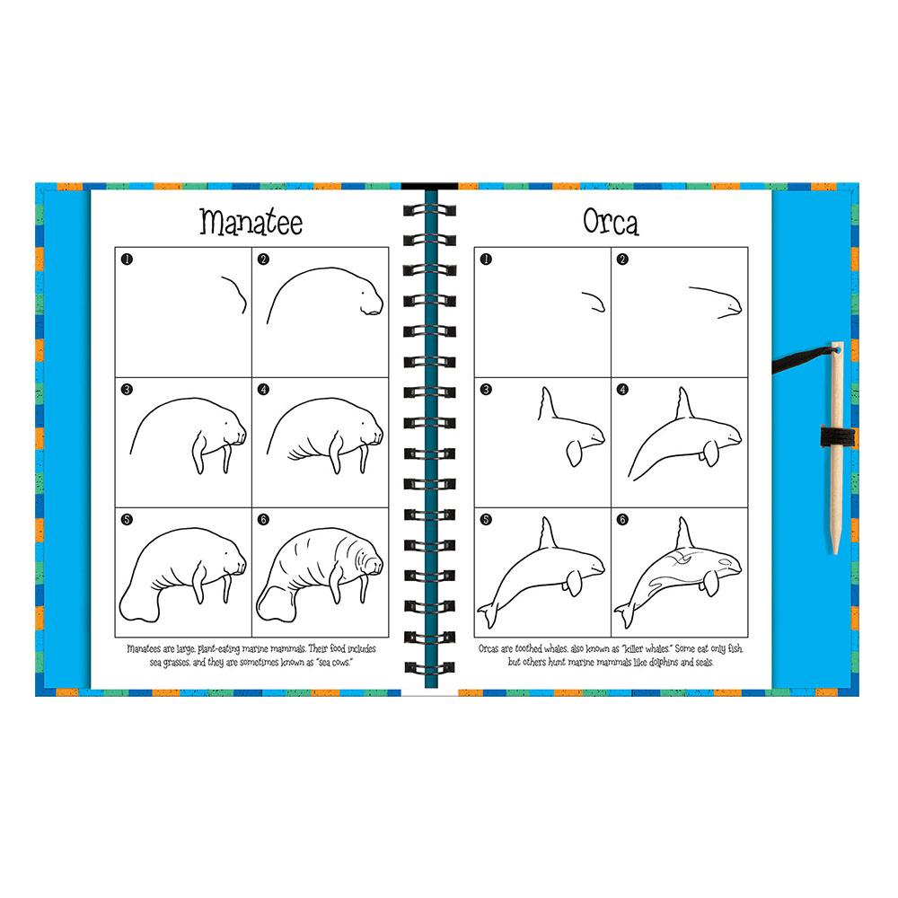 Scratch And Draw - Ocean Animals