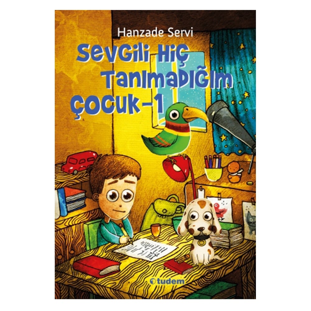SEVGİLİ HİÇ TANIMADIĞIM ÇOCUK