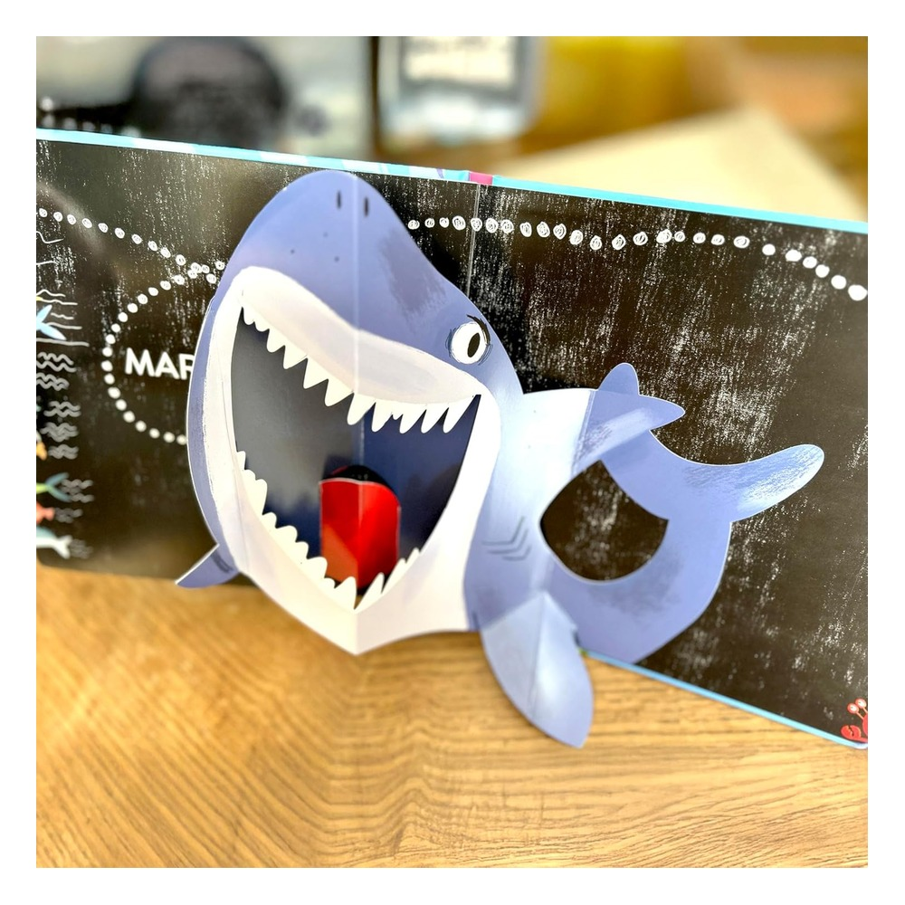 Swim Along with Me!