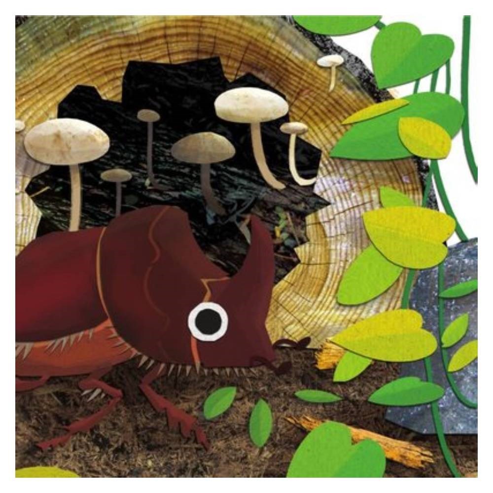 Tepeden Kuyruğa Böcekler