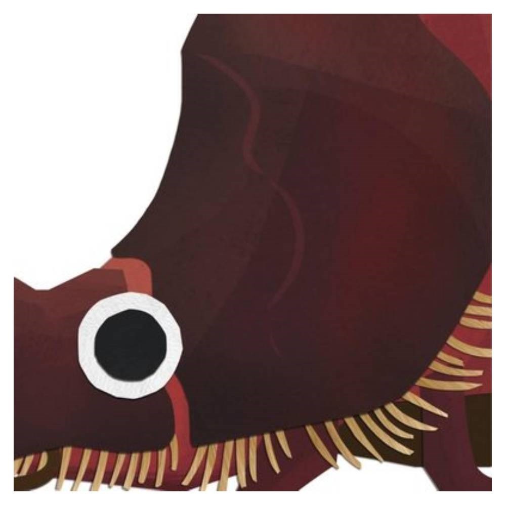 Tepeden Kuyruğa Böcekler