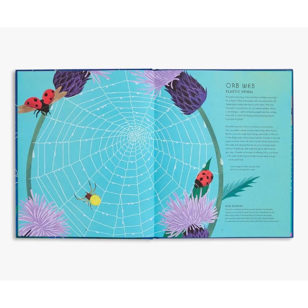 The Secret World of Spiderwebs