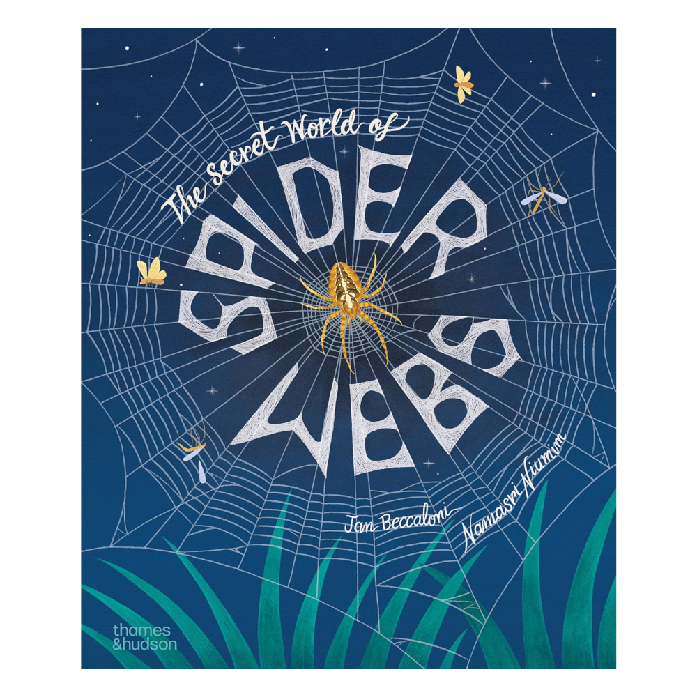 The Secret World of Spiderwebs