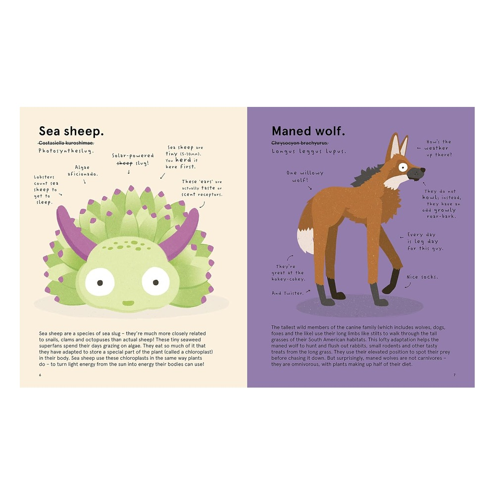 The Worlds Most Ridiculous Animals