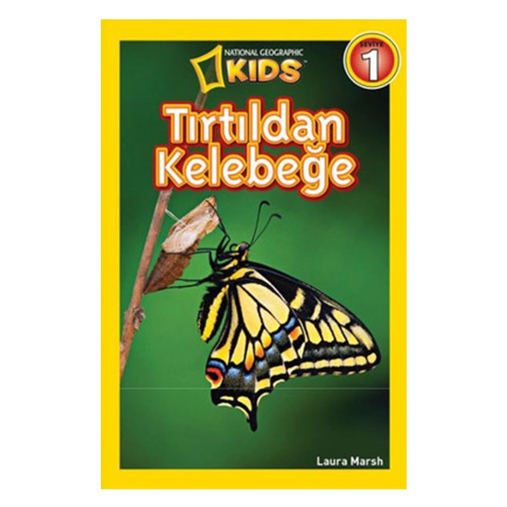 TIRTILDAN KELEBEĞE-SEVİYE 1 Çocuk Kitapları Uzmanı - Children's Books Expert