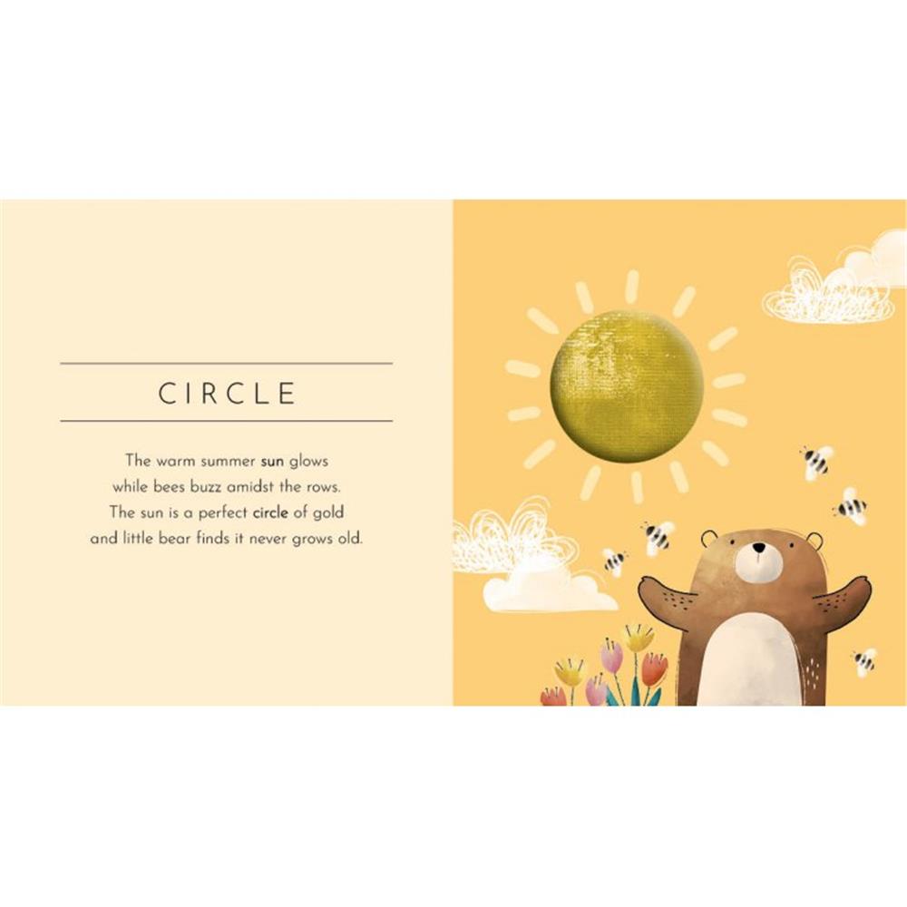 Touch And Feel - Shapes