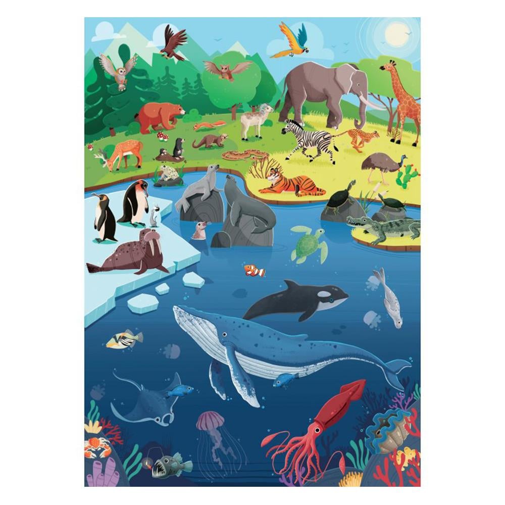 What- How- Why - Animals