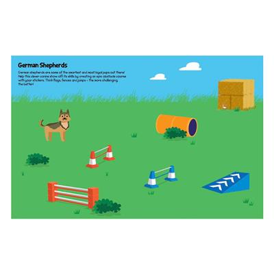 555 Sticker Fun - Cats and Dogs Activity Book