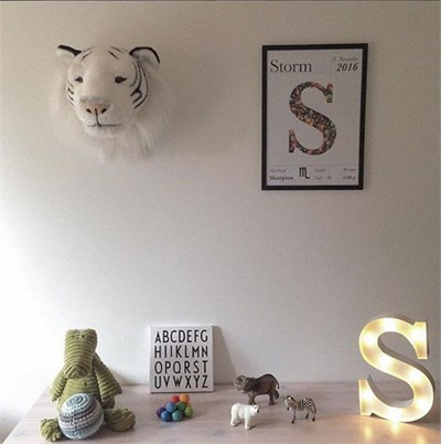 Duvar Aksesuarı Kaplan Albert