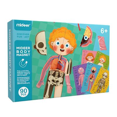 Mideer Body Magnet / Eğitici İnsan Vücudu Oyun Seti
