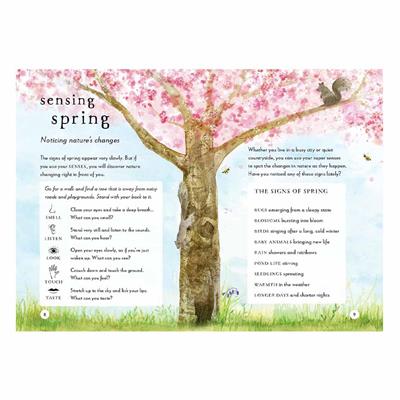 A Field Guide To Spring