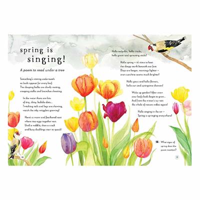 A Field Guide To Spring