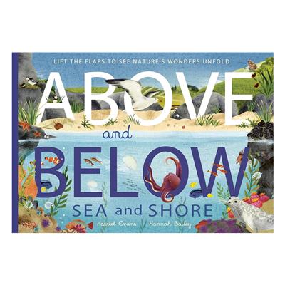 Above and Below - Sea and Shore