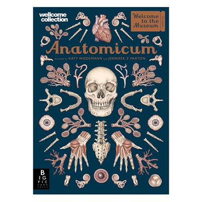 Anatomicum